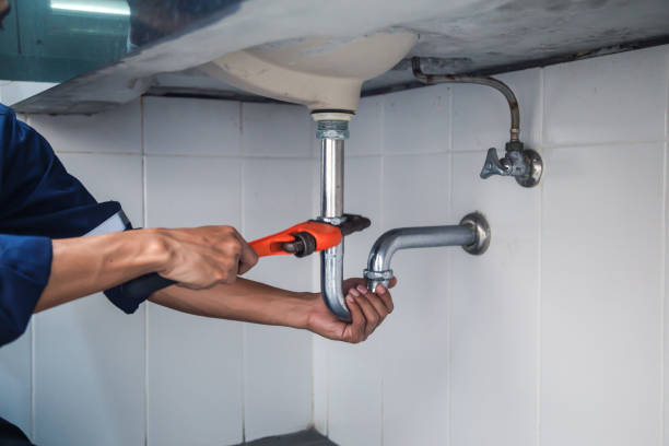 Best Local Plumber Services  in Hillsboro, ND